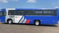 Used Buses Urban Buses TORINO
